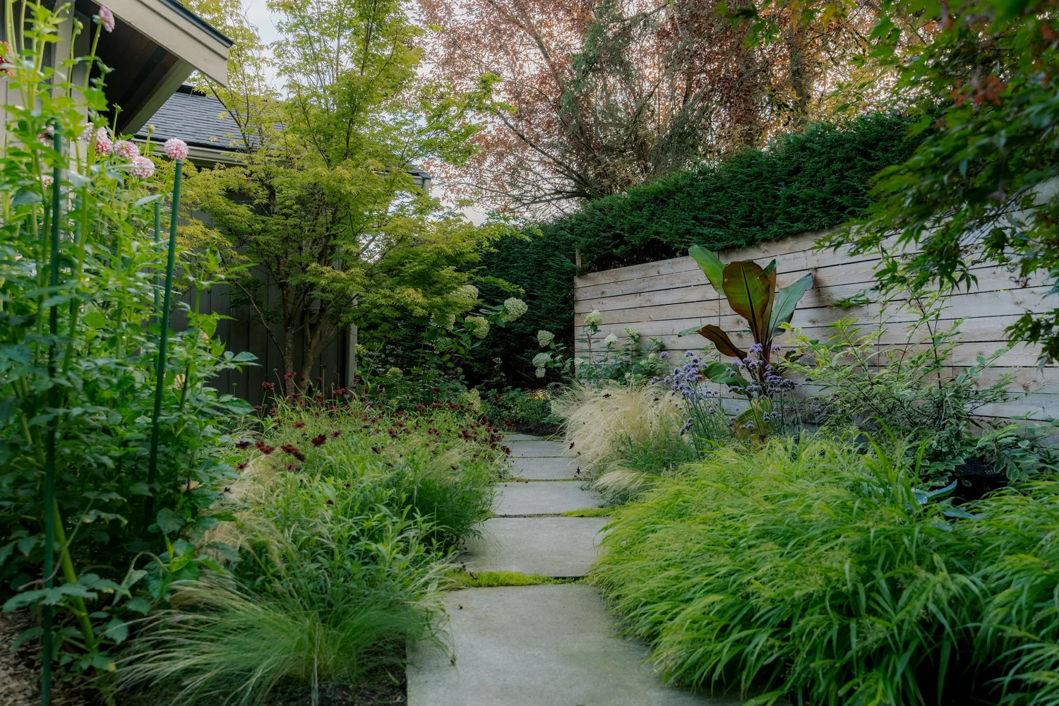 AM Garden landscape design by Biophilia Design Collective
